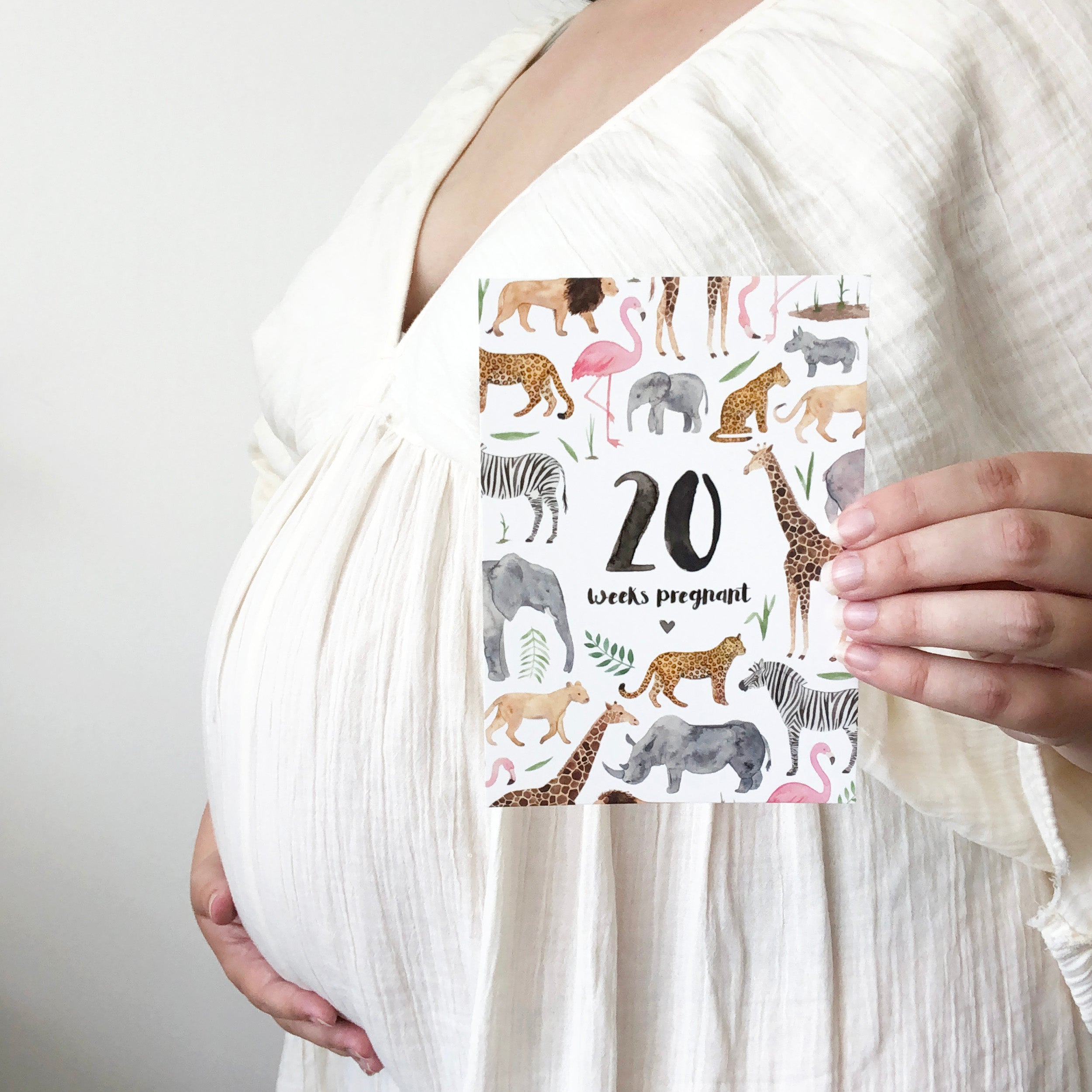 Pregnancy Milestone Cards - Safari