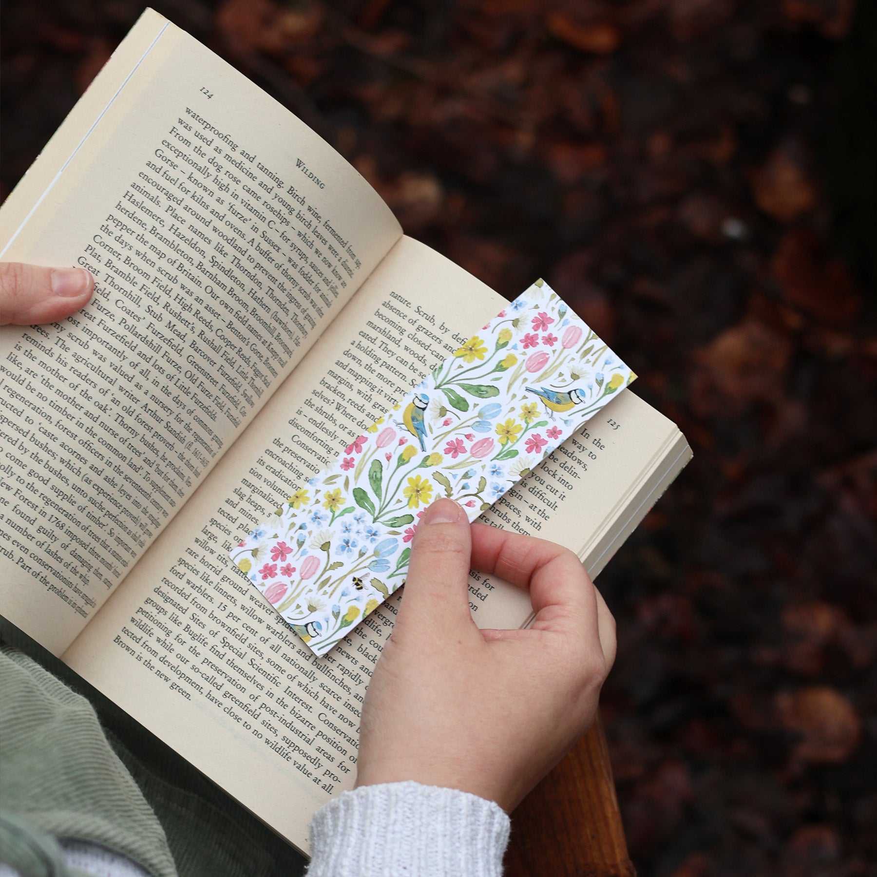 Blue tit Double sided bookmark
