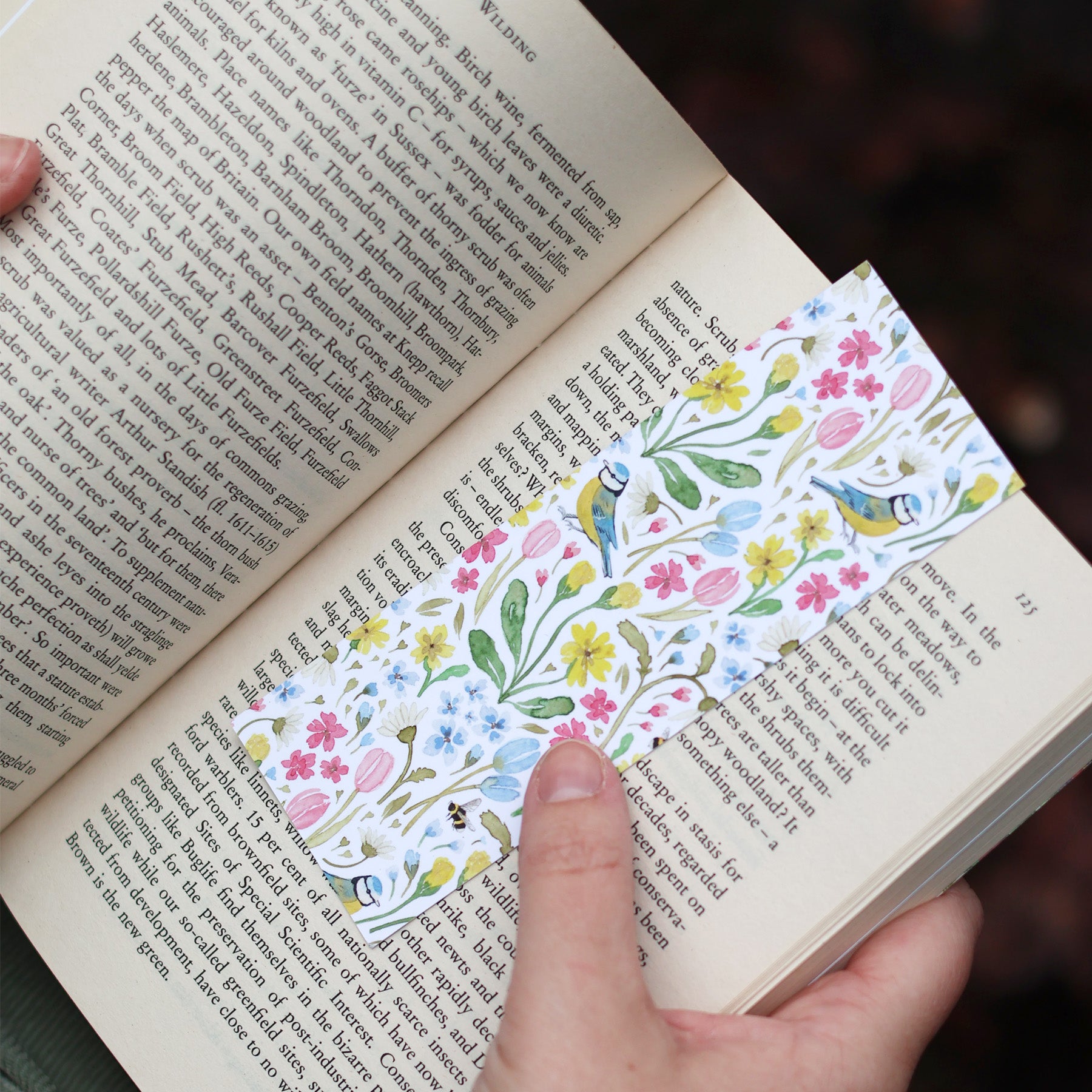 Blue tit Double sided bookmark