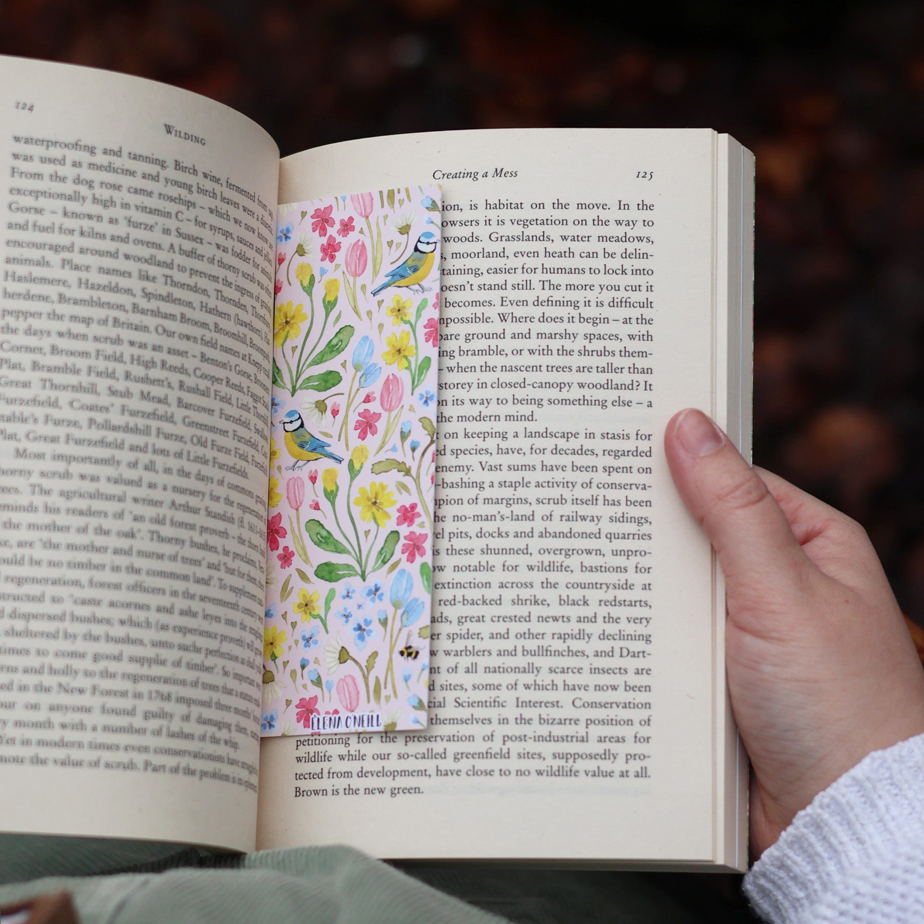 Blue tit Double sided bookmark