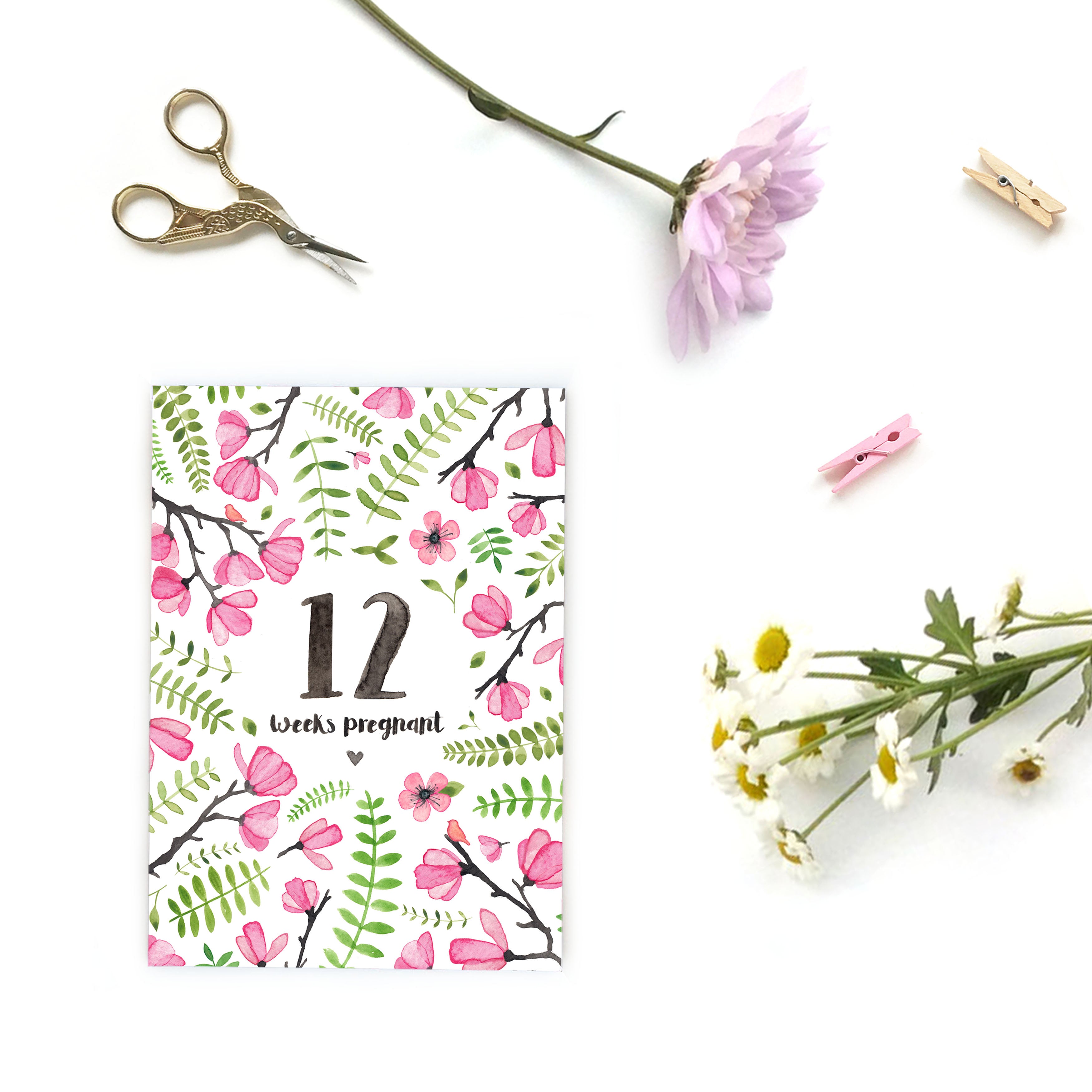 Pregnancy Milestone Cards - Cherry Blossom