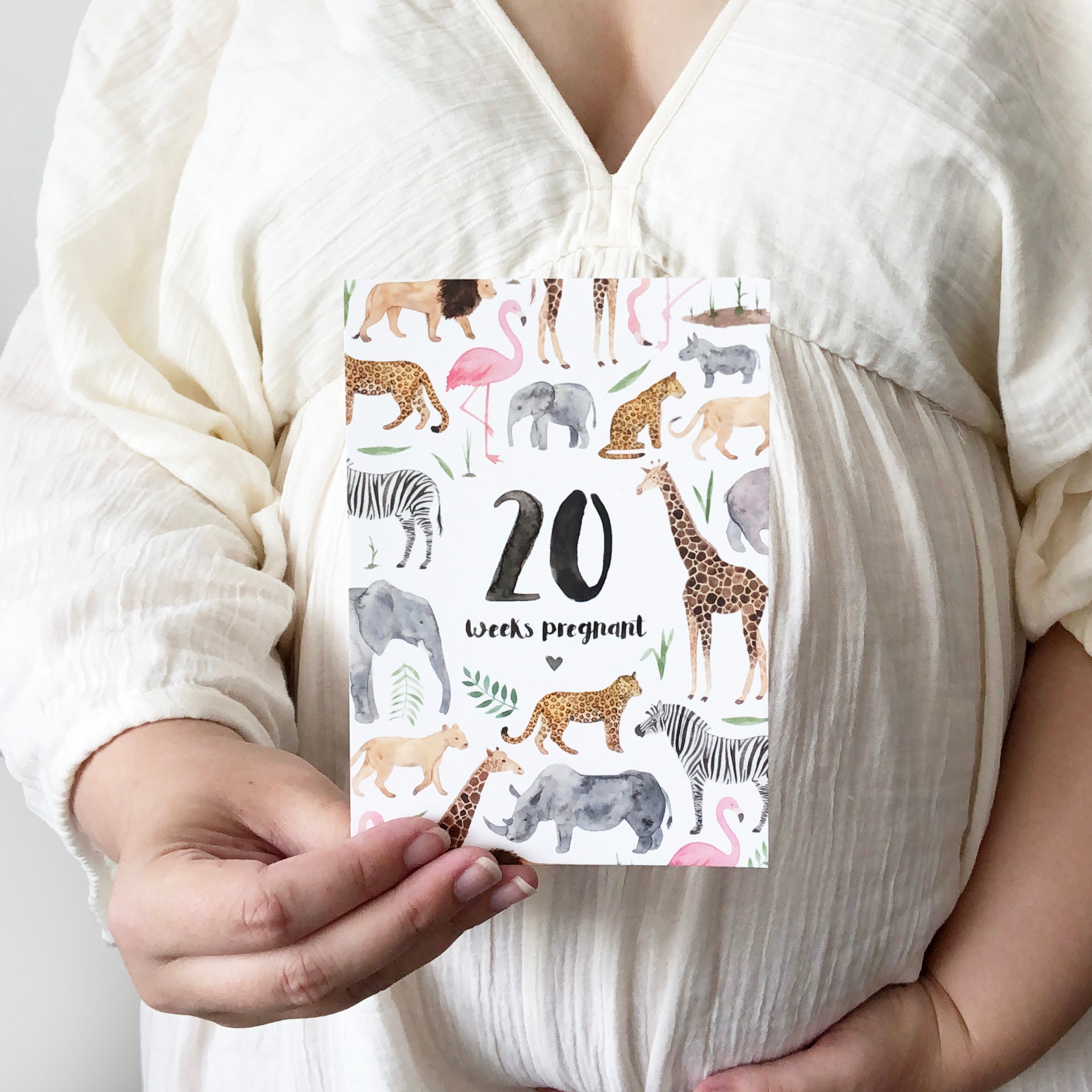 Pregnancy Milestone Cards - Safari