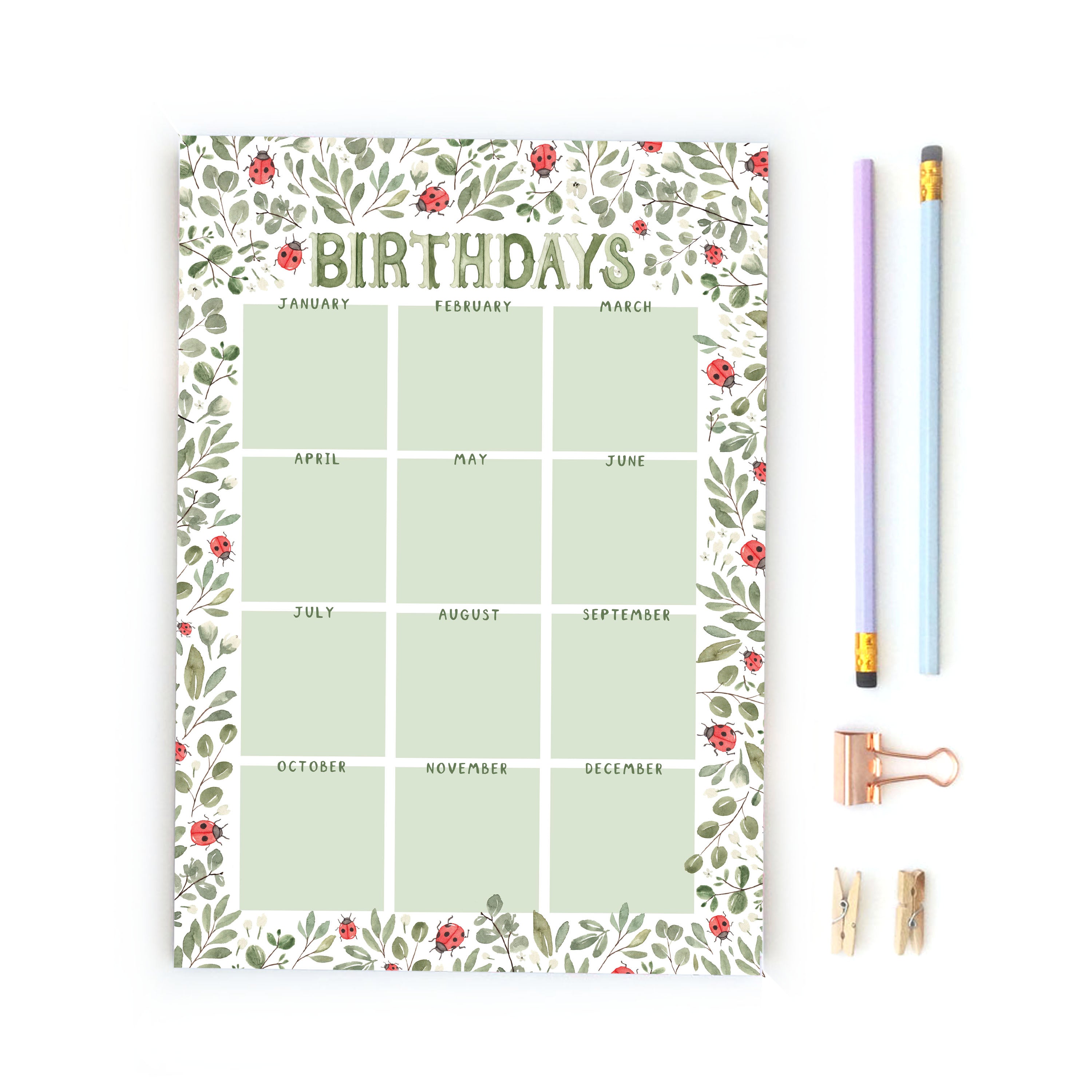 Ladybird Birthday planner printable - year overview