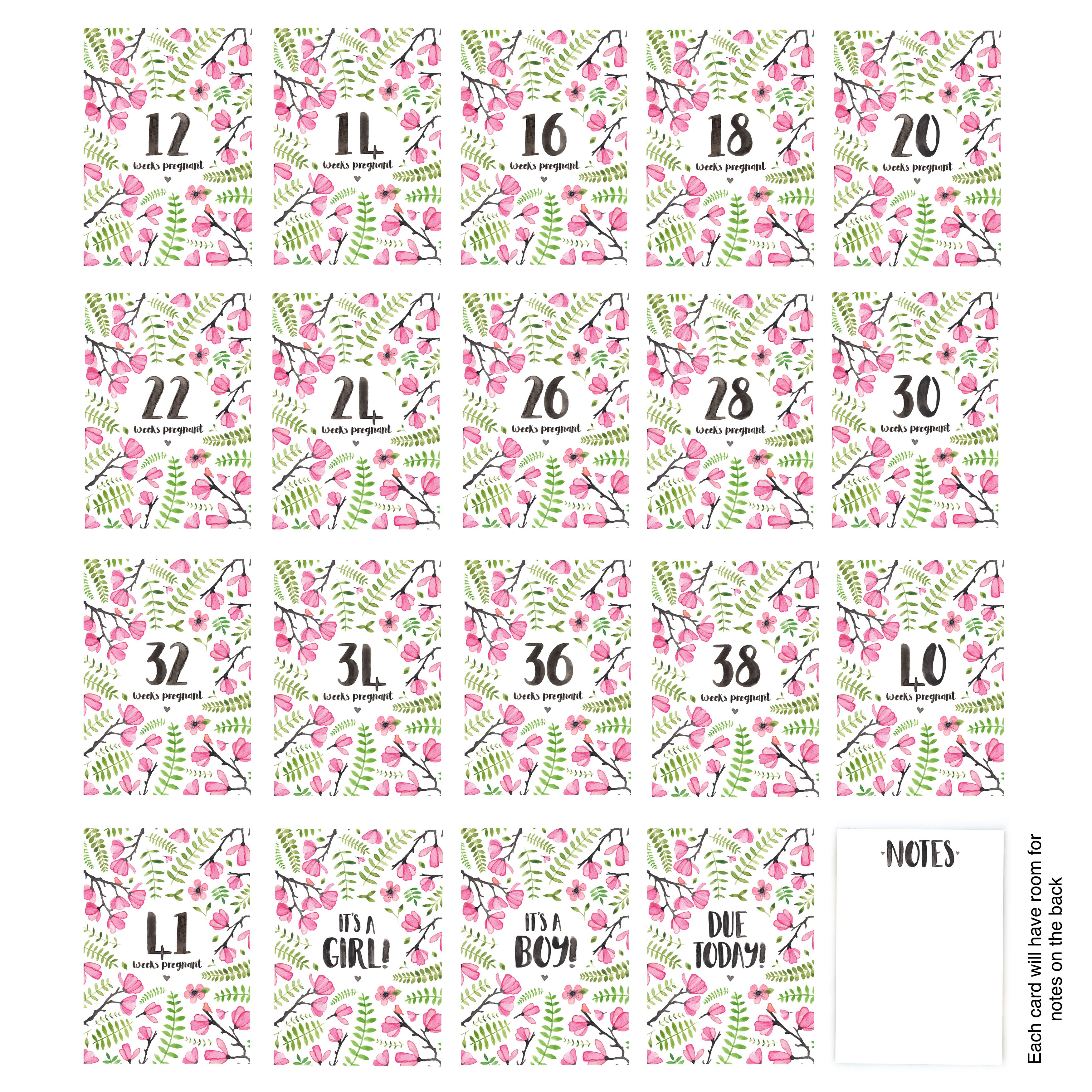 Pregnancy Milestone Cards - Safari