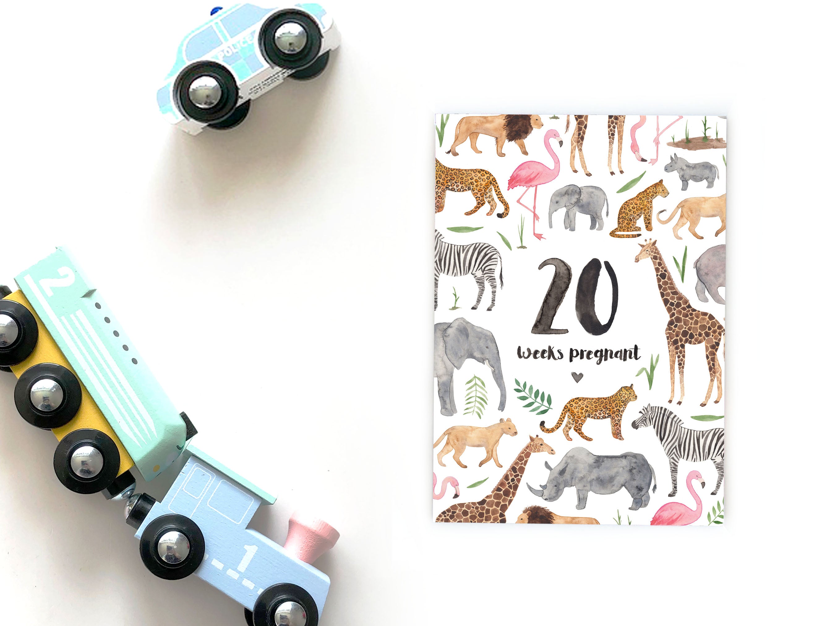 Pregnancy Milestone Cards - Safari